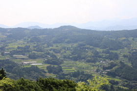 土佐手縞　福永世紀子さんの織物－染と織のコト