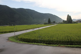 眩しい緑に包まれた周山。